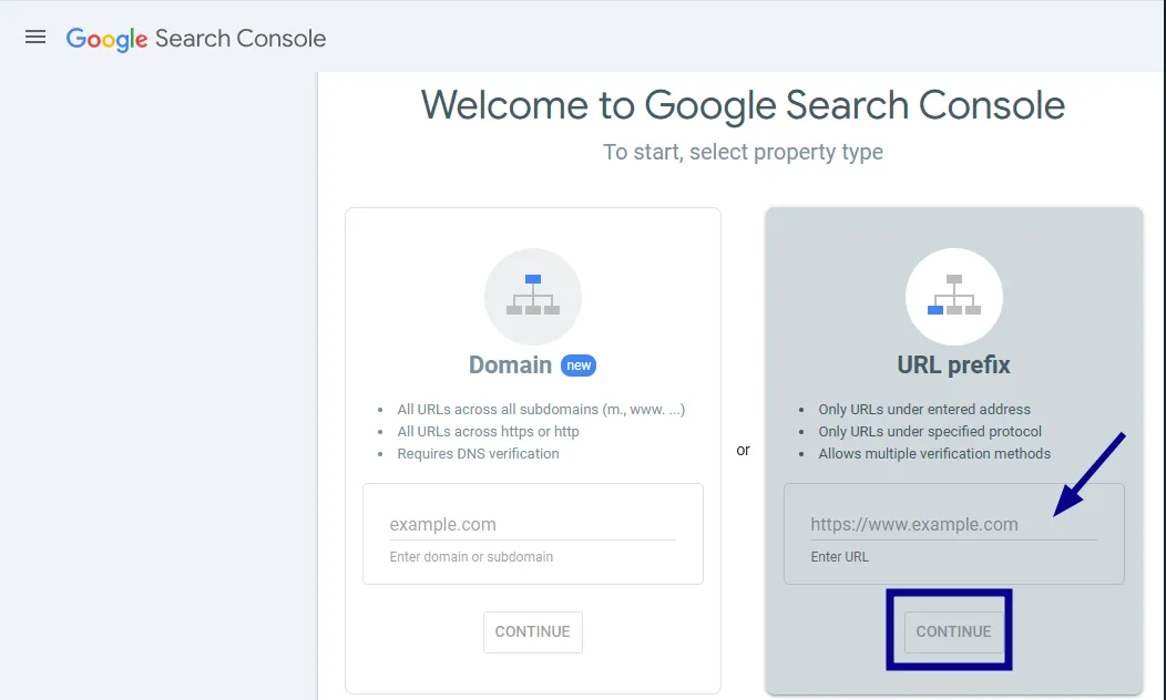 Enter your website URL and click 